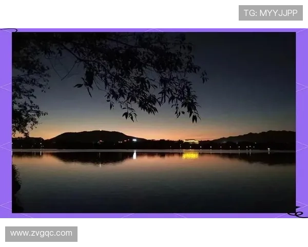 月光魅影：潜入夜色，触碰那流动的诗意